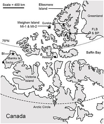 Floral Dissimilarity and the Influence of Climate in the Pliocene High Arctic: Biotic and Abiotic Influences on Five Sites on the Canadian Arctic Archipelago